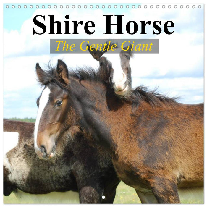 Shire Horse - The gentle giant (CALVENDO Monthly Calendar 2025)