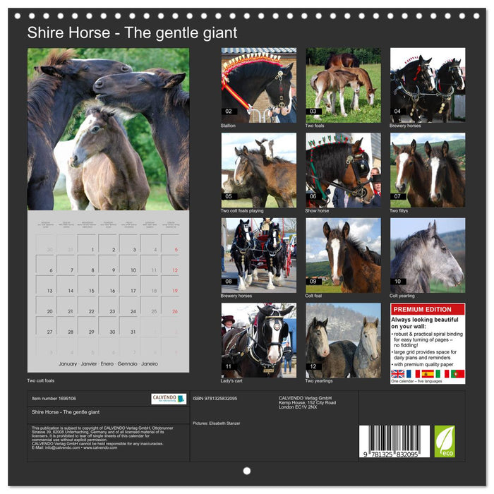 Shire Horse - The gentle giant (CALVENDO Monthly Calendar 2025)