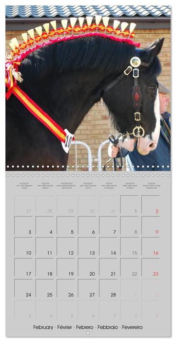 Shire Horse - The gentle giant (CALVENDO Monthly Calendar 2025)