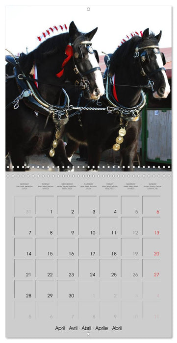 Shire Horse - The gentle giant (CALVENDO Monthly Calendar 2025)