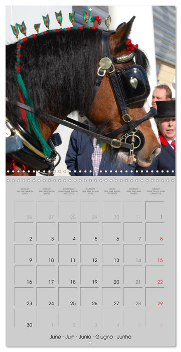 Shire Horse - The gentle giant (CALVENDO Monthly Calendar 2025)