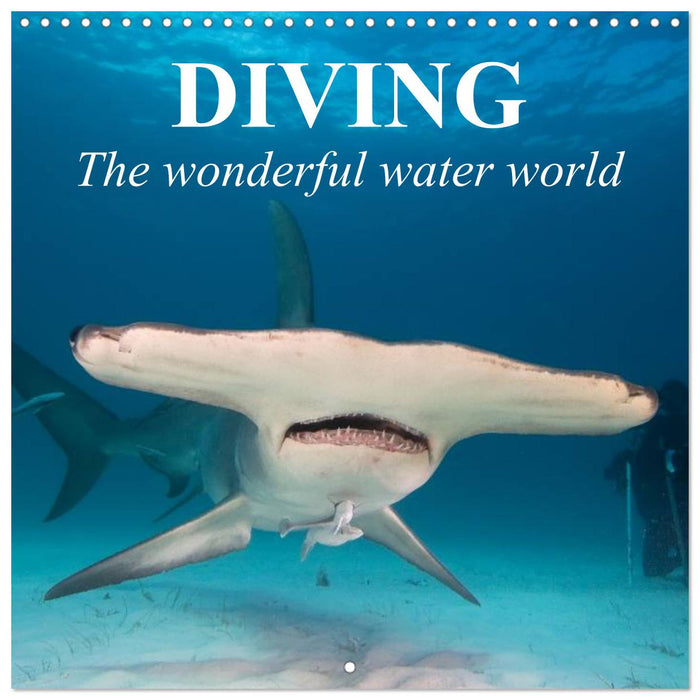 Diving - The wonderful water world (CALVENDO Monthly Calendar 2025)