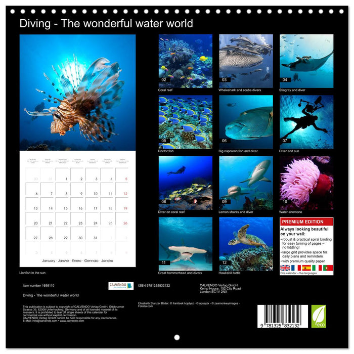 Diving - The wonderful water world (CALVENDO Monthly Calendar 2025)