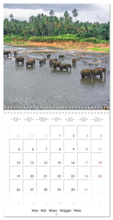 Sri Lanka 2025 - Exotic Paradise (CALVENDO Monthly Calendar 2025)