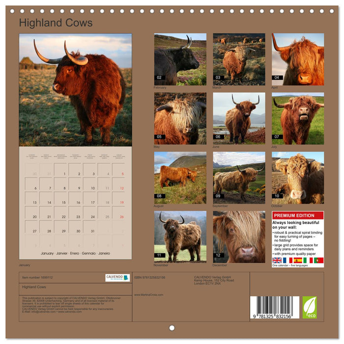 Highland Cows (CALVENDO Monthly Calendar 2025)