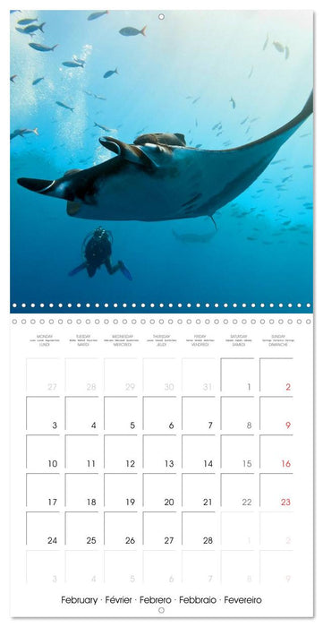 Maldives - Sun, water and beach (CALVENDO Monthly Calendar 2025)