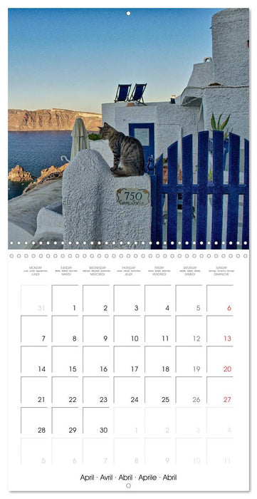 Santorini Pearl of the Greek Isles (CALVENDO Monthly Calendar 2025)