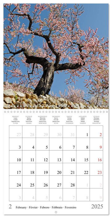 Costa Blanca Spain´s Sun-Kissed South (CALVENDO Monthly Calendar 2025)