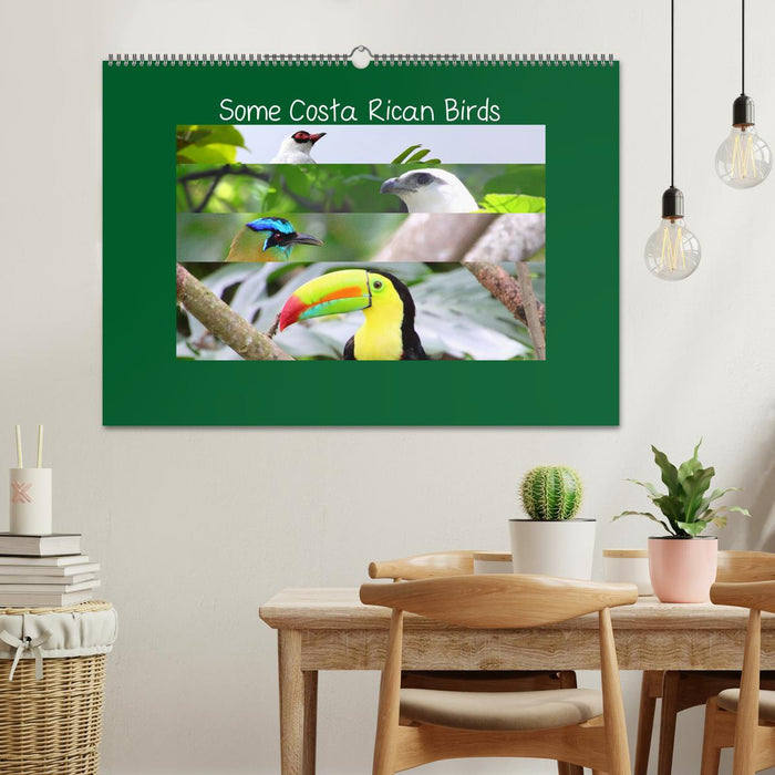 Some Costa Rican Birds (CALVENDO Monthly Calendar 2025)