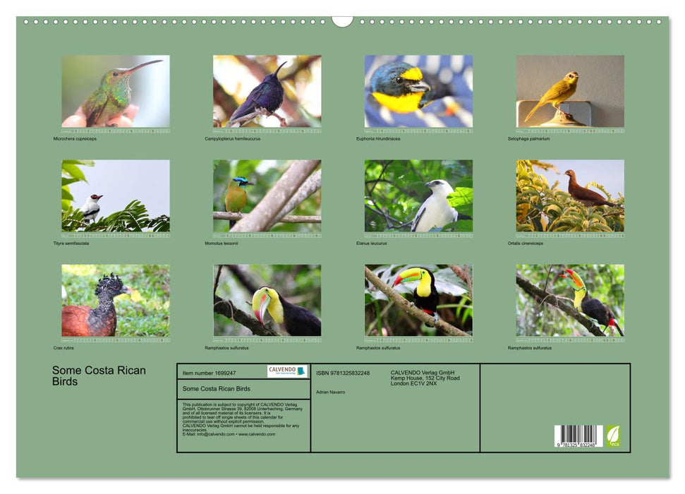 Some Costa Rican Birds (CALVENDO Monthly Calendar 2025)