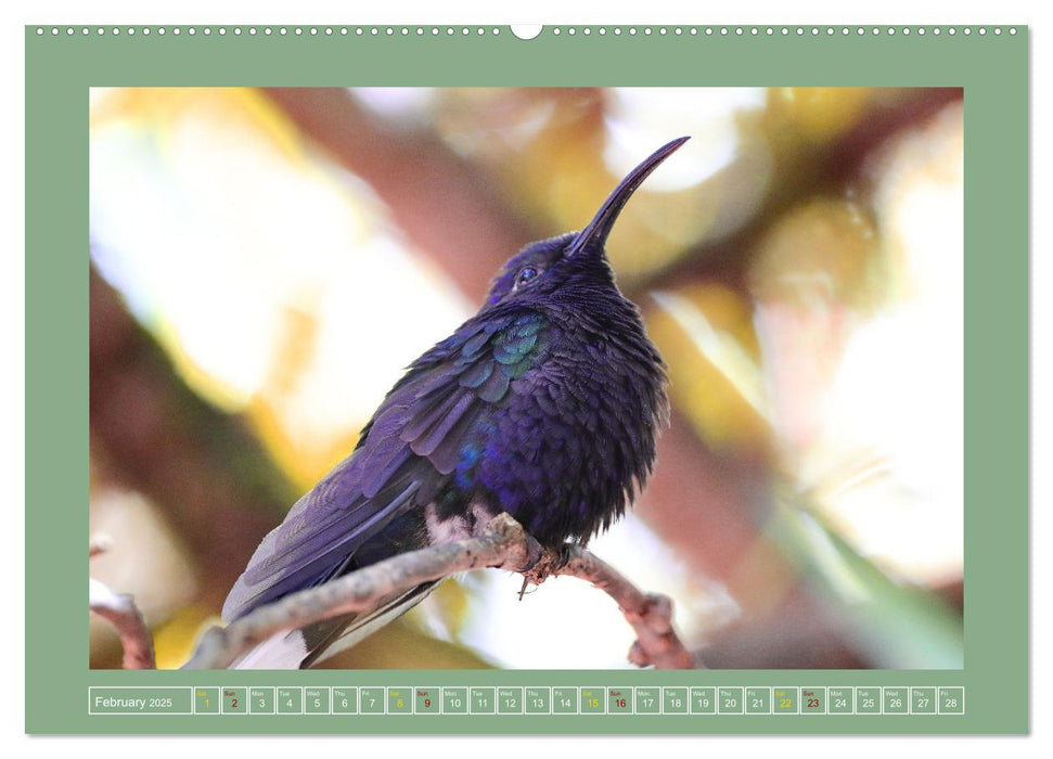 Some Costa Rican Birds (CALVENDO Monthly Calendar 2025)