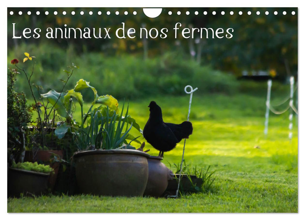 Les animaux de nos fermes (CALVENDO Calendrier mensuel 2025)