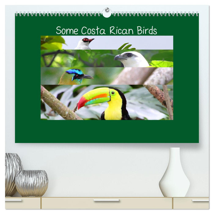 Some Costa Rican Birds (CALVENDO Premium-Calendar 2025)