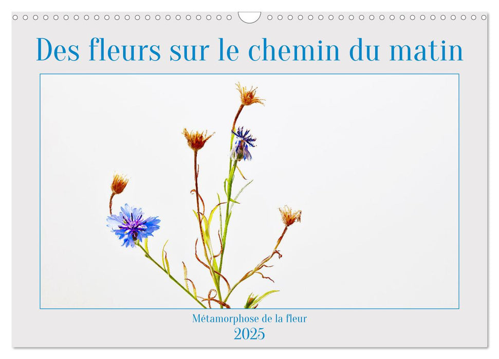 Des fleurs sur le chemin du matin (CALVENDO Calendrier mensuel 2025)