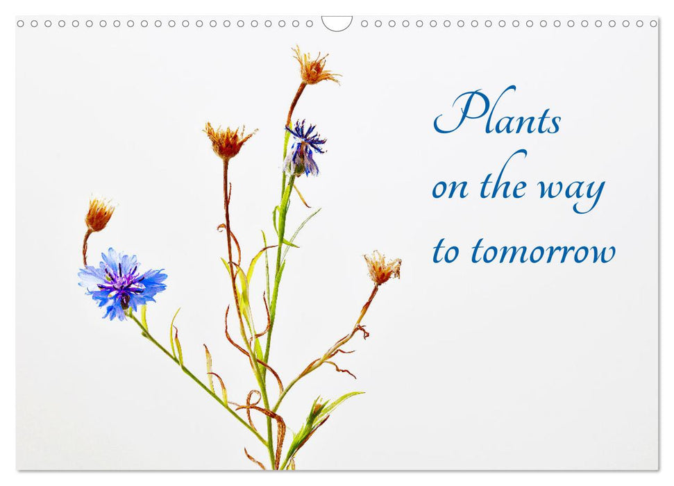 Plants on the way to tomorrow (CALVENDO Monthly Calendar 2025)