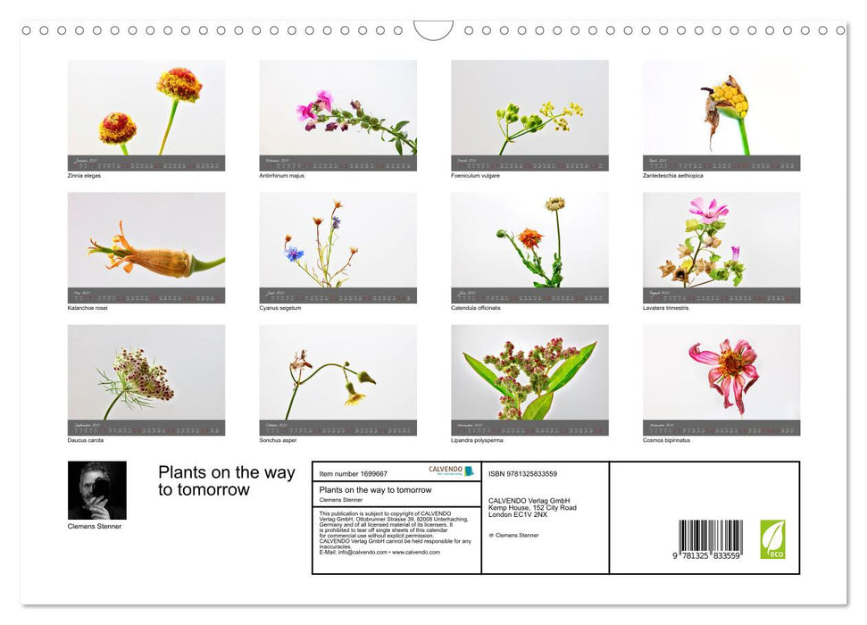 Plants on the way to tomorrow (CALVENDO Monthly Calendar 2025)