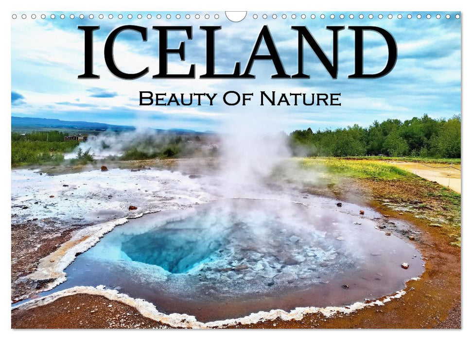 Iceland Beauty of Nature (CALVENDO Monthly Calendar 2025)