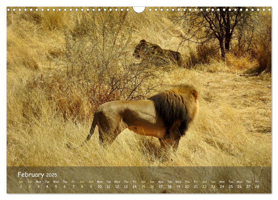 Namibia - African Beauty (CALVENDO Monthly Calendar 2025)