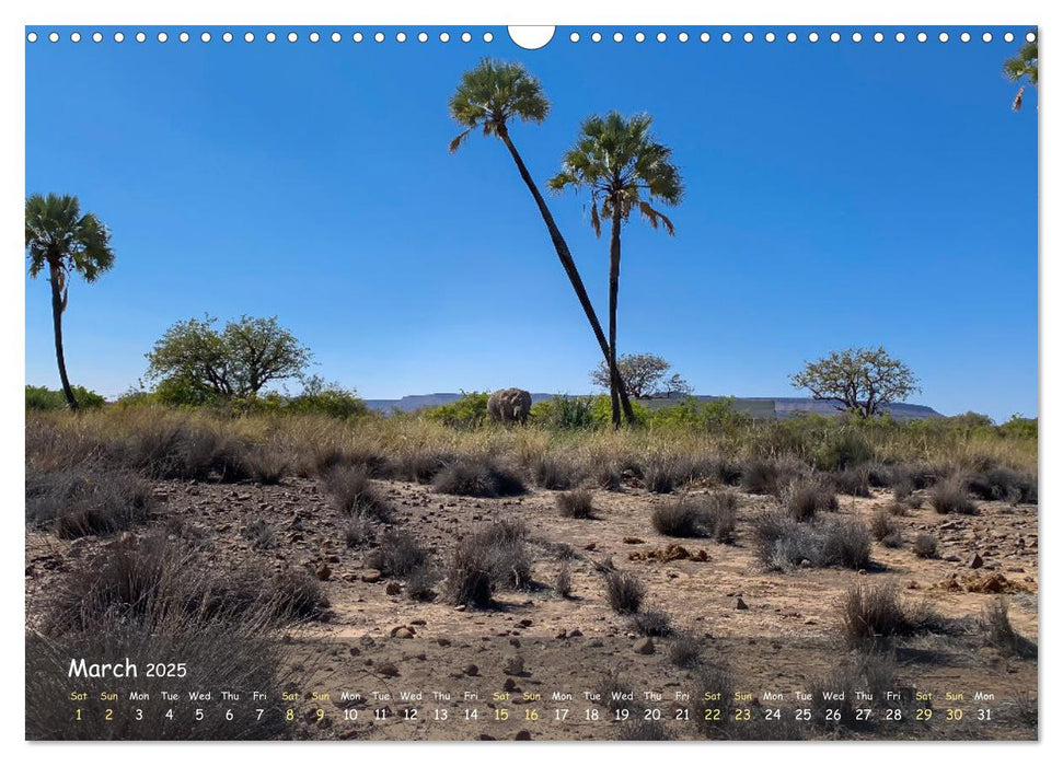 Namibia - African Beauty (CALVENDO Monthly Calendar 2025)