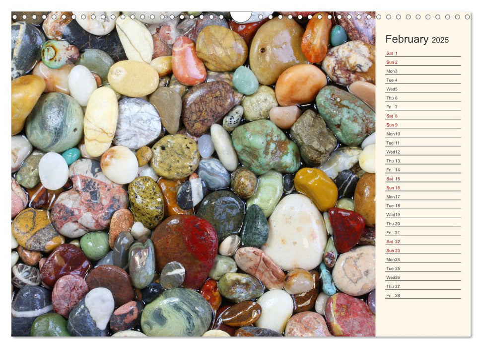 Shells, Stones and Sand (CALVENDO Monthly Calendar 2025)