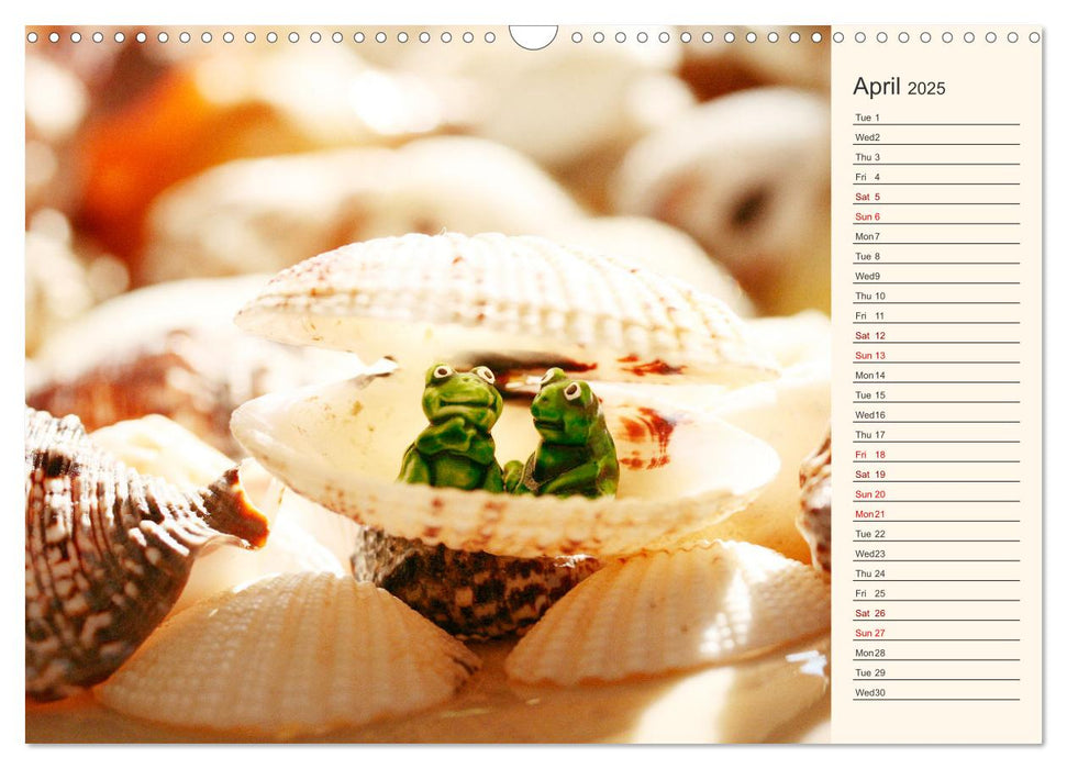Shells, Stones and Sand (CALVENDO Monthly Calendar 2025)