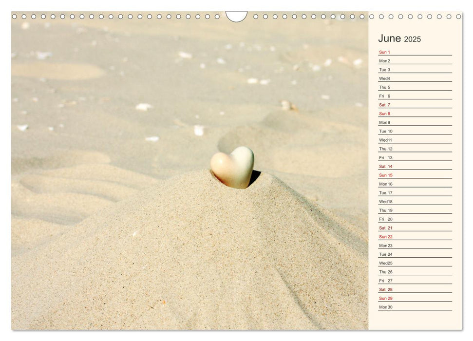 Shells, Stones and Sand (CALVENDO Monthly Calendar 2025)