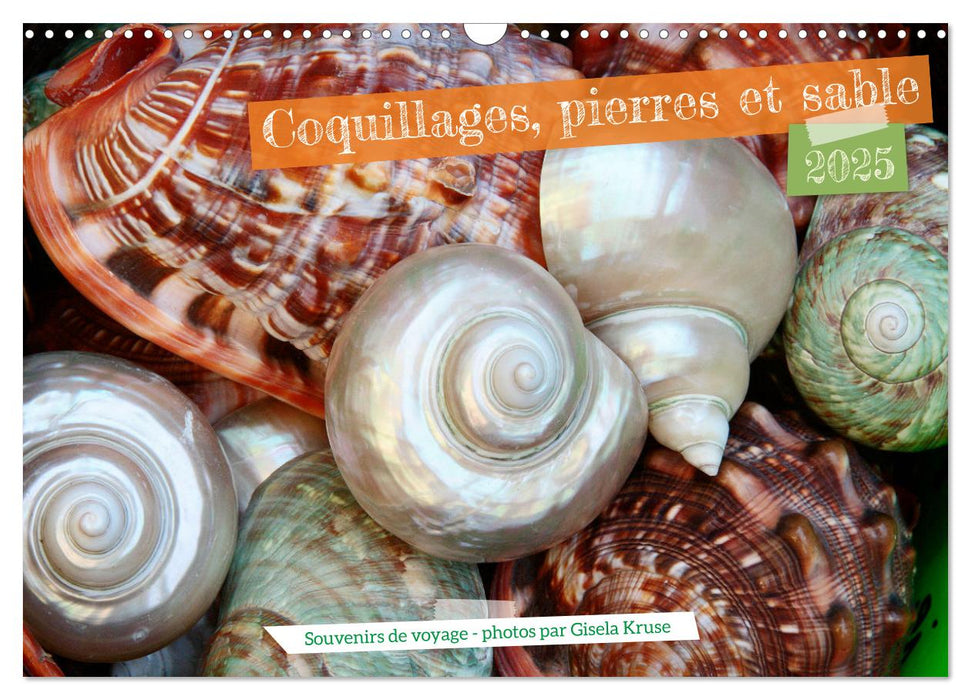 Coquillages, pierres et sable (CALVENDO Calendrier mensuel 2025)