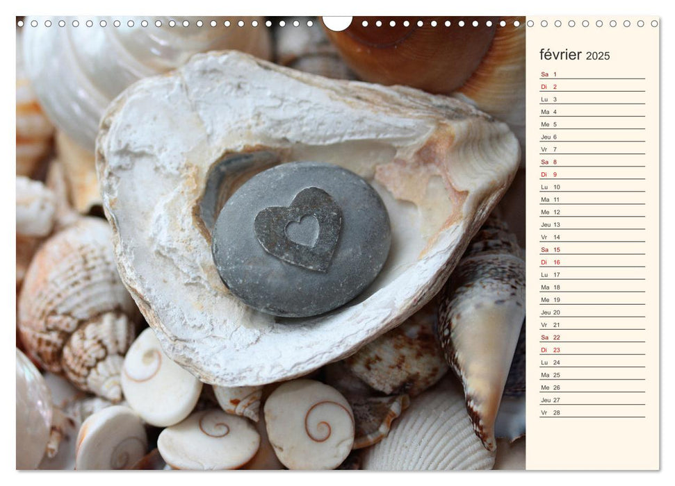 Coquillages, pierres et sable (CALVENDO Calendrier mensuel 2025)