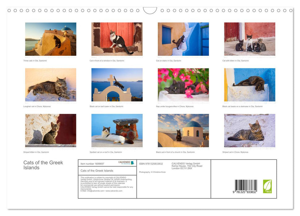 Cats of the Greek Islands (CALVENDO Monthly Calendar 2025)