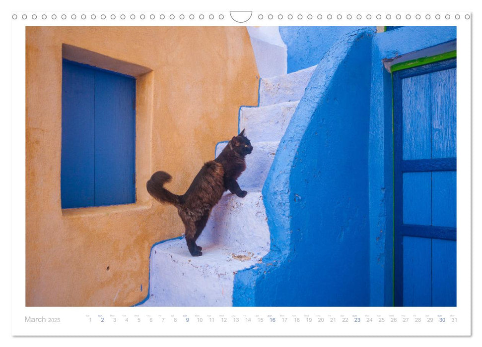 Cats of the Greek Islands (CALVENDO Monthly Calendar 2025)