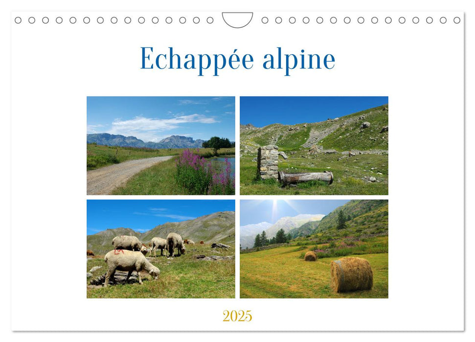 Echappée alpine (CALVENDO Calendrier mensuel 2025)