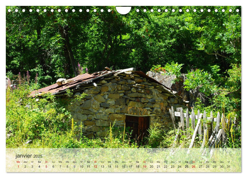 Echappée alpine (CALVENDO Calendrier mensuel 2025)