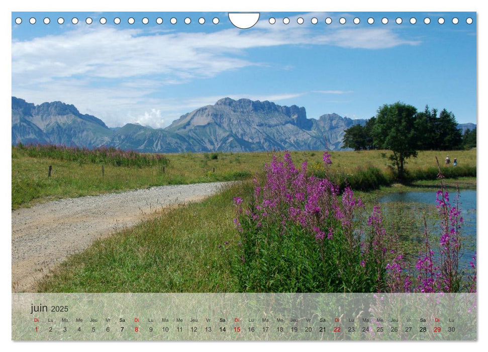 Echappée alpine (CALVENDO Calendrier mensuel 2025)