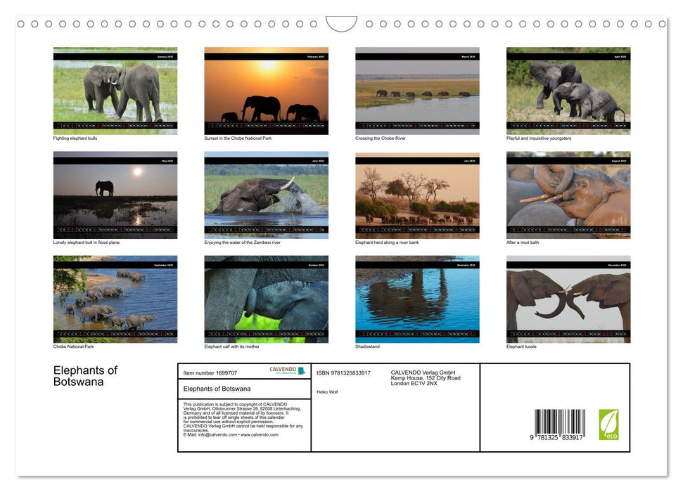 Elephants of Botswana (CALVENDO Monthly Calendar 2025)