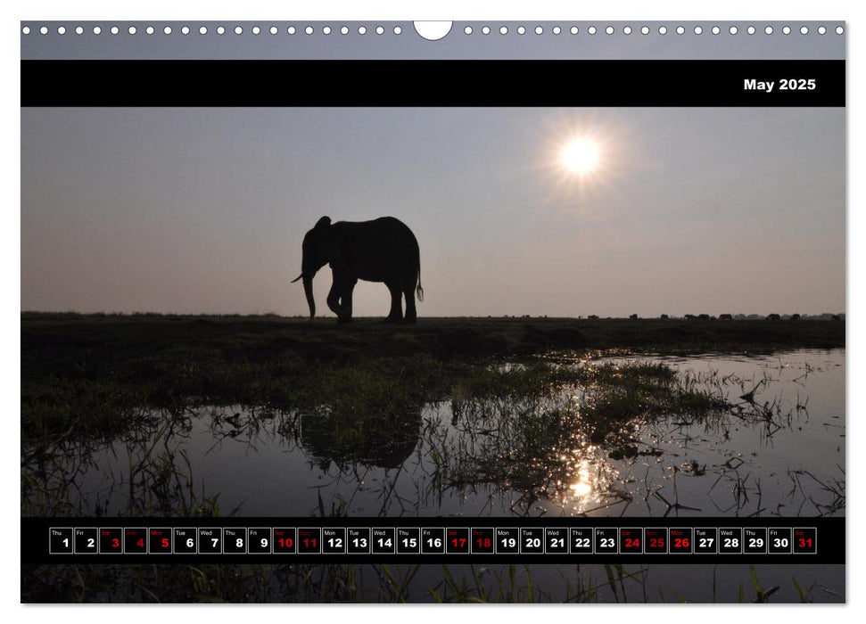 Elephants of Botswana (CALVENDO Monthly Calendar 2025)