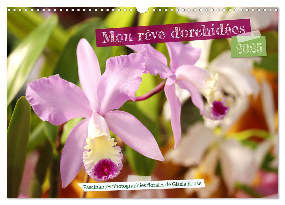 Mon rêve d'orchidées (CALVENDO Calendrier mensuel 2025)