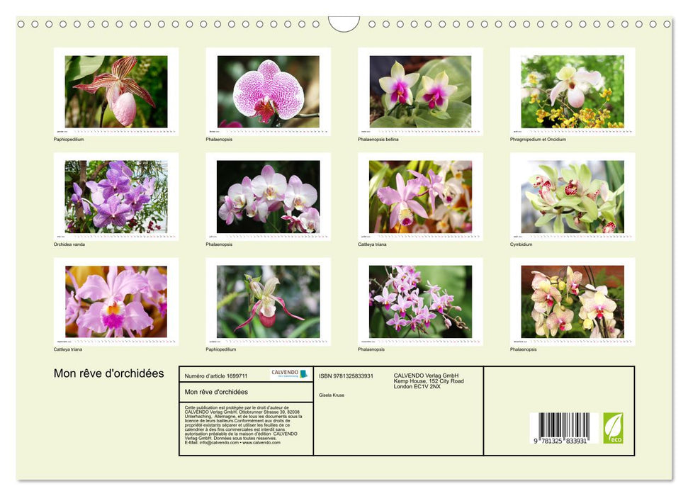 Mon rêve d'orchidées (CALVENDO Calendrier mensuel 2025)