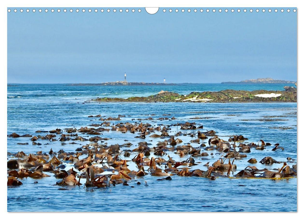 Les îles conquétoises (CALVENDO Calendrier mensuel 2025)