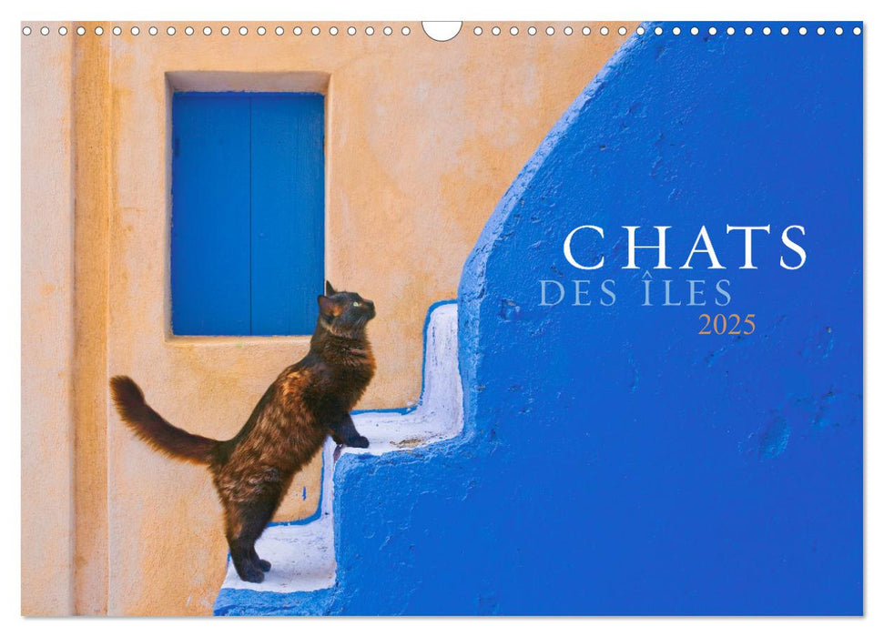 Chats des îles (CALVENDO Calendrier mensuel 2025)