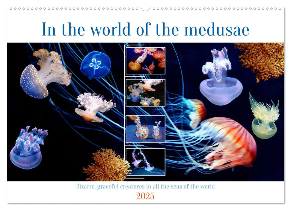 In the world of the medusae (CALVENDO Monthly Calendar 2025)