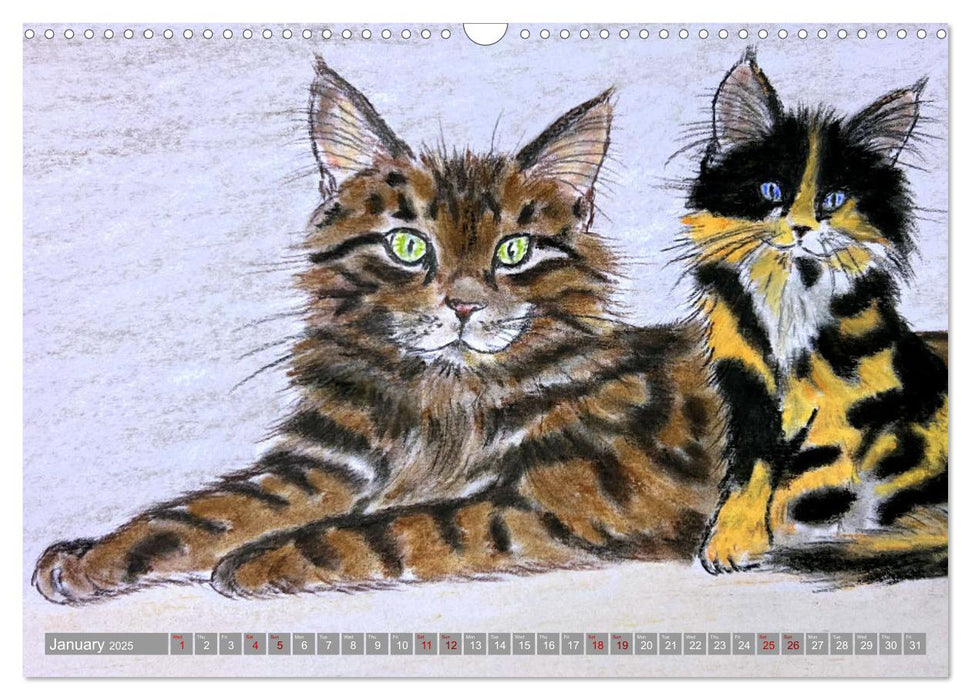 Beautiful cat portraits (CALVENDO Monthly Calendar 2025)