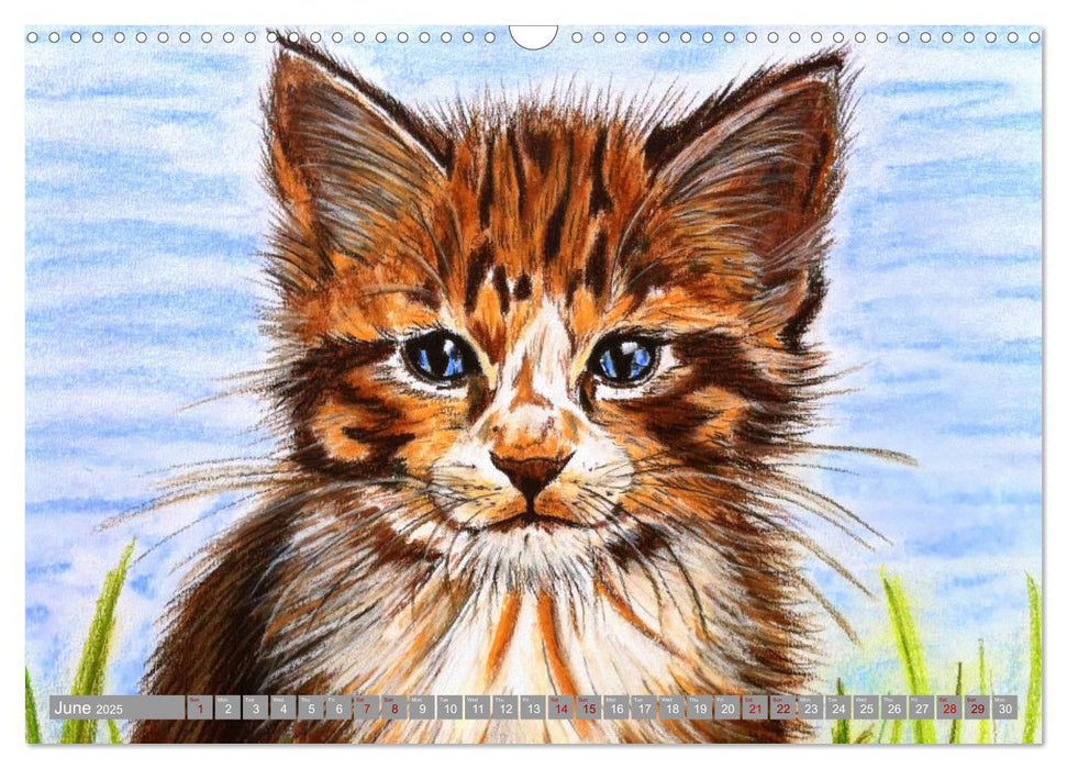 Beautiful cat portraits (CALVENDO Monthly Calendar 2025)