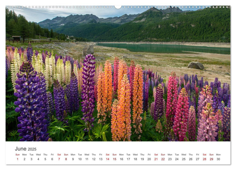 Aosta Valley and its nature (CALVENDO Premium-Calendar 2025)