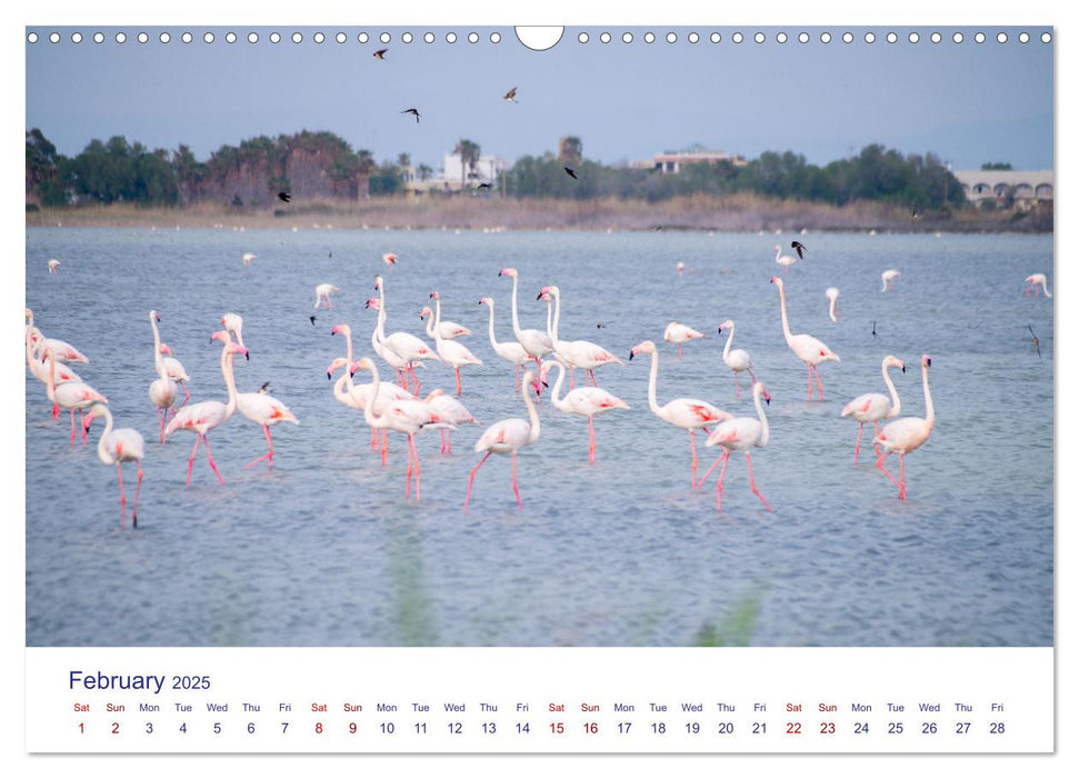 Kos Island - The Island of Hippocrates (CALVENDO Monthly Calendar 2025)