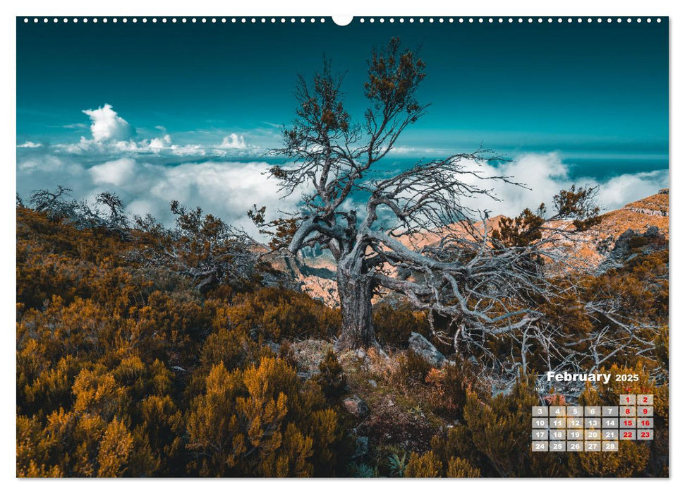 Madeira Island - Portugal (CALVENDO Monthly Calendar 2025)