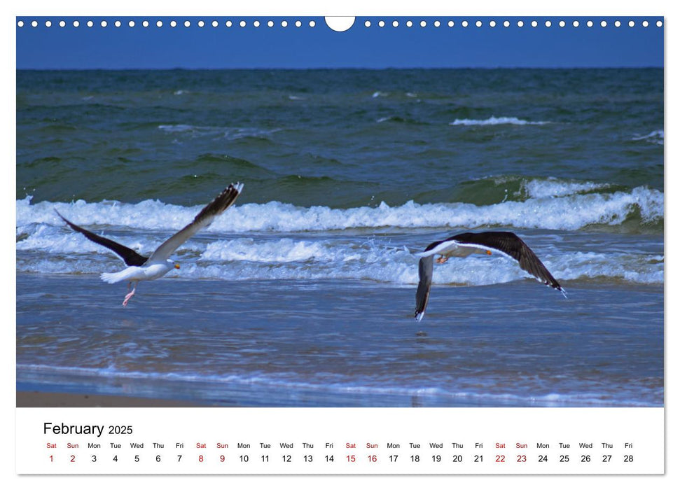 The Sea - A place for dreams (CALVENDO Monthly Calendar 2025)