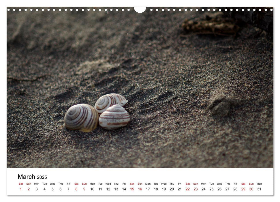 The Sea - A place for dreams (CALVENDO Monthly Calendar 2025)