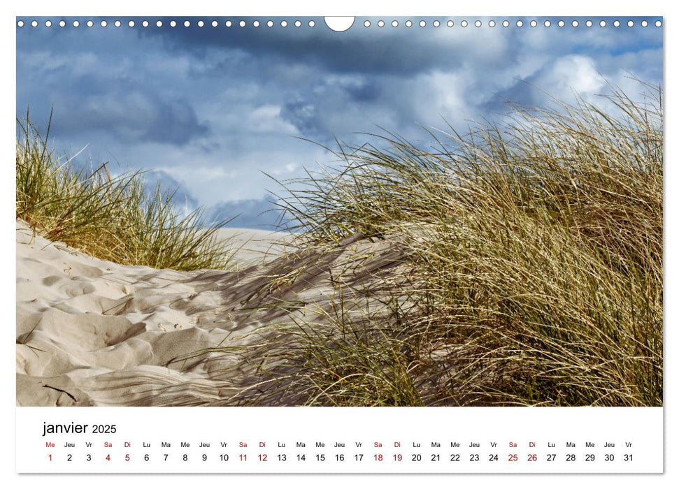 Dunes et mer - Une expérience nature (CALVENDO Calendrier mensuel 2025)