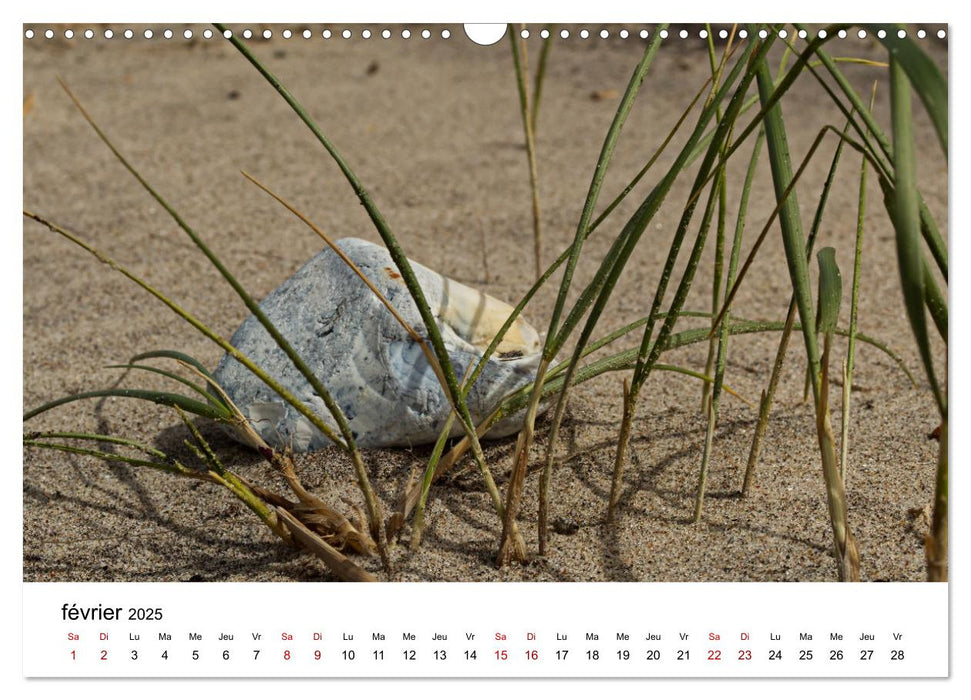 Dunes et mer - Une expérience nature (CALVENDO Calendrier mensuel 2025)