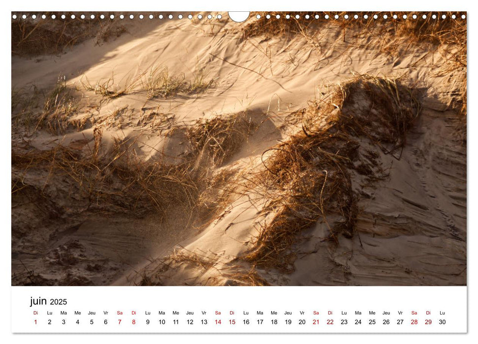 Dunes et mer - Une expérience nature (CALVENDO Calendrier mensuel 2025)